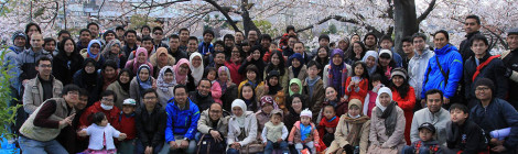 Indonesian students and their families enjoying the spring blossoms on campus at Osaka University